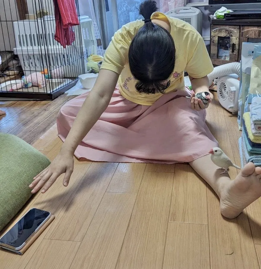 Best Costumes from Japan’s “Mundane Halloween”